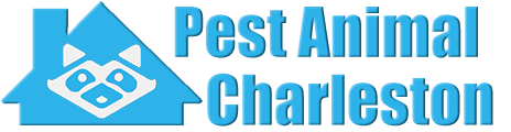 Charleston Wildlife and Animal Removal